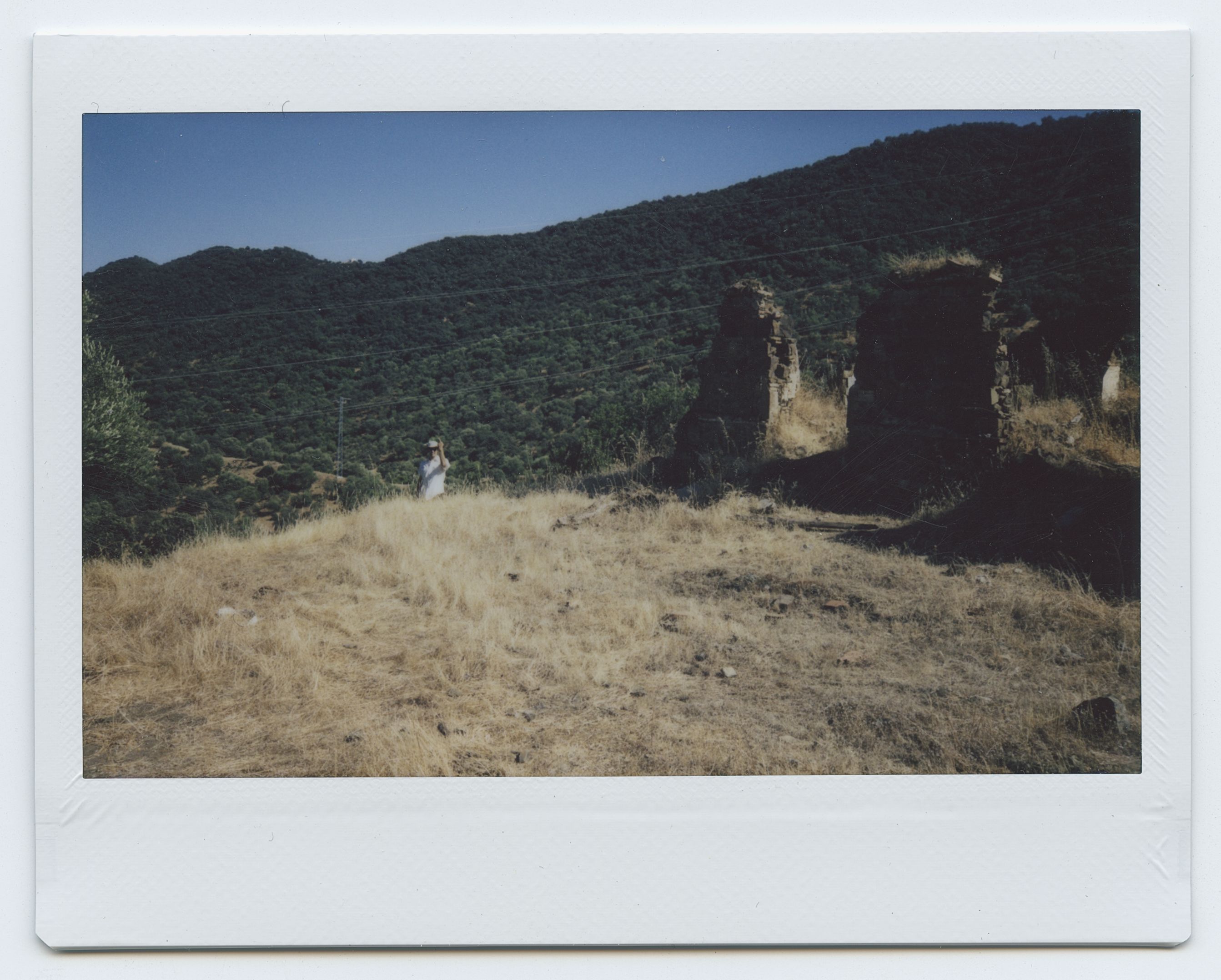 polaroid 6