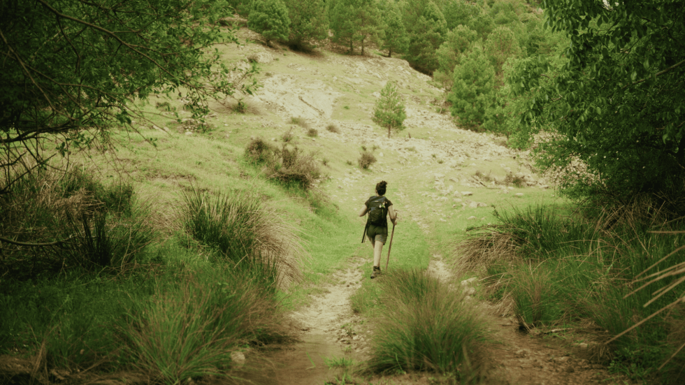 EL VALLE