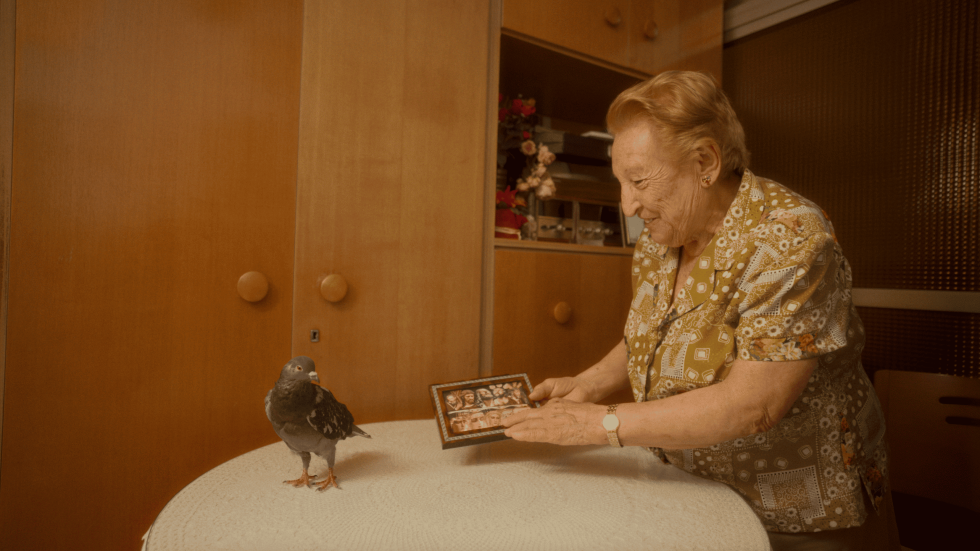 UN ÁNGEL PARA MARUJA