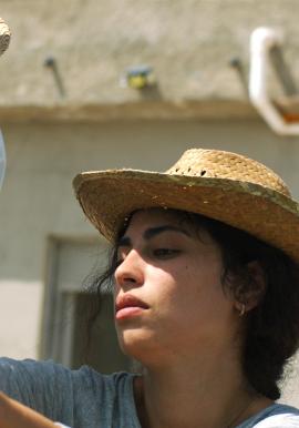 TIERRA DE AMIRA