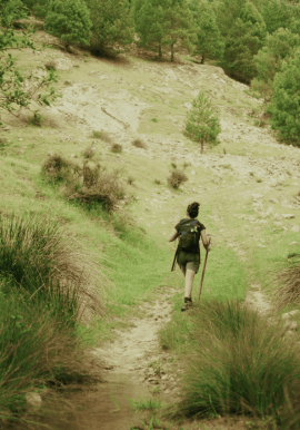 EL VALLE