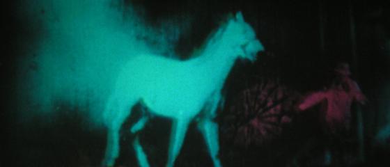 Berlin Horse