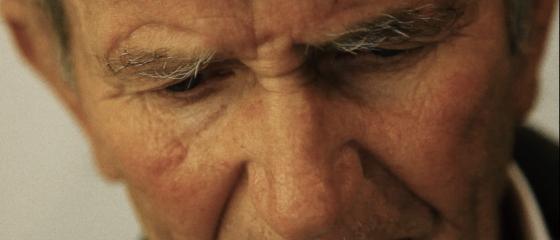 Aniceto en El tiempo entre los olivos